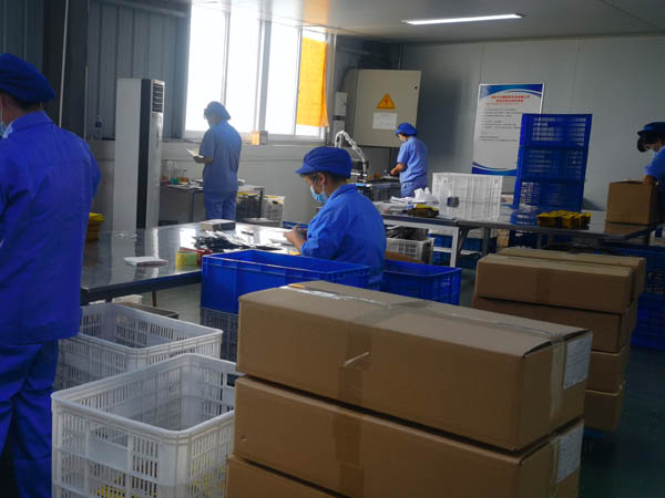 哪里有膏藥加工廠？膏藥貼牌廠家哪家好？